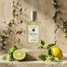 Eden Citrus – Parfum de niche frais et lumineux de Grasse