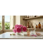 Rosa | Perfumería Nicho Grasse