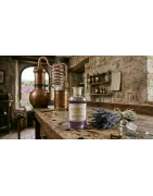 Lavender | Niche Perfumery Grasse