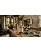 Vanilla | Niche Perfumery Grasse