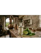 Bergamota | Perfumería Nicho Grasse