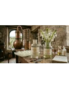 Tuberose | Nischenparfümerie Grasse